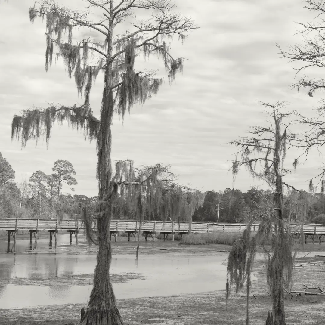 photo en alabama idee de perdido