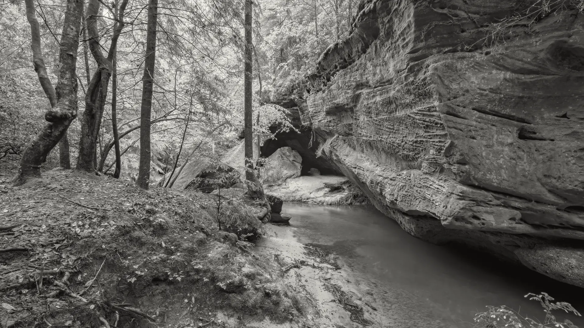 riviere en alabama