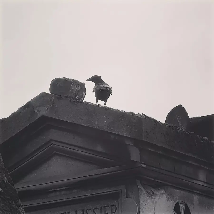 cimetiere du pere lachaise paris dark tourisme