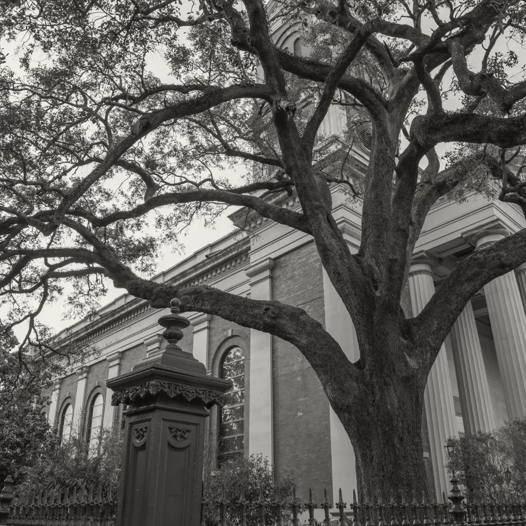 photo en alabama idee de perdido