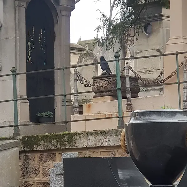 corbeau cimetiere montmartre paris