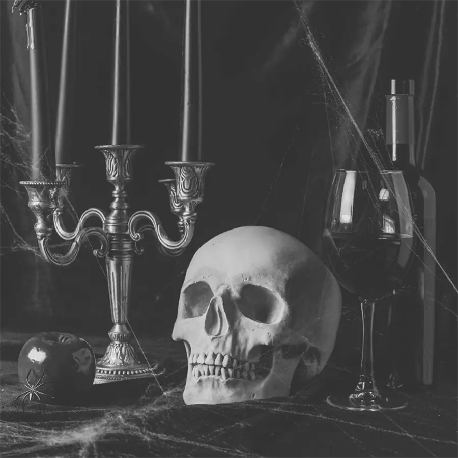 vin rouge litterature univers sombre